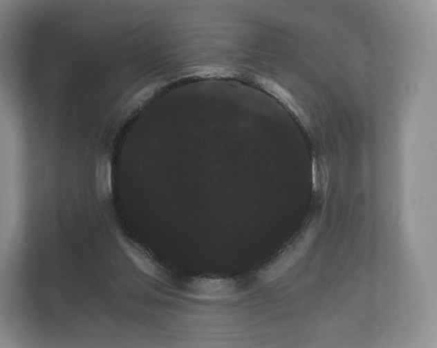 X0000112430205200908211207