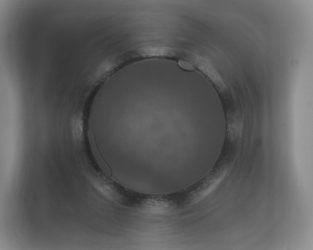 X0000112430207200908211207