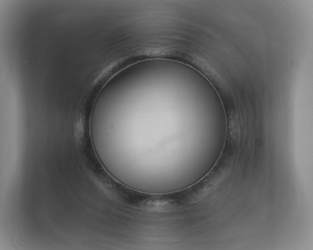 X0000112430208200908211207