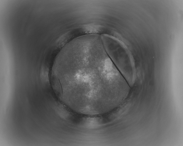 X0000112430209200908211207