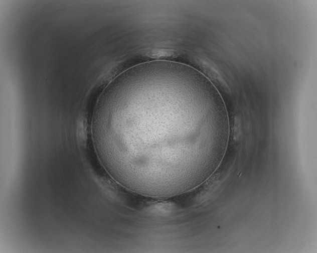 X0000112430210200908211207