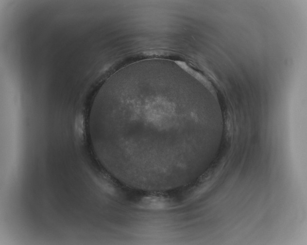X0000112430211200908211207