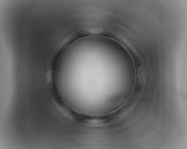 X0000112430212200908211207