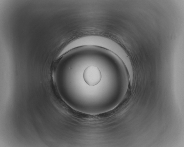 X0000112430215200908211207