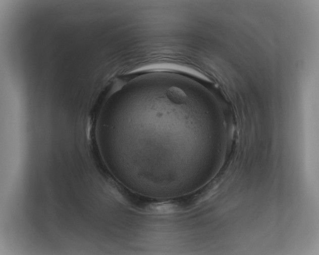 X0000112430219200908211207