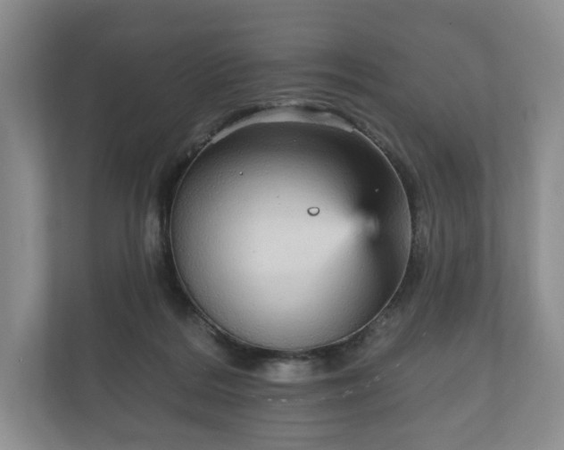 X0000112430220200908211207