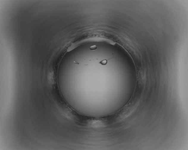 X0000112430224200908211207
