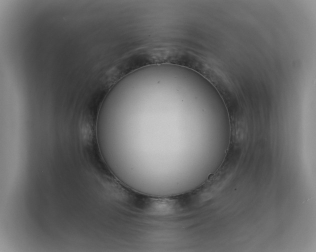 X0000112430226200908211207