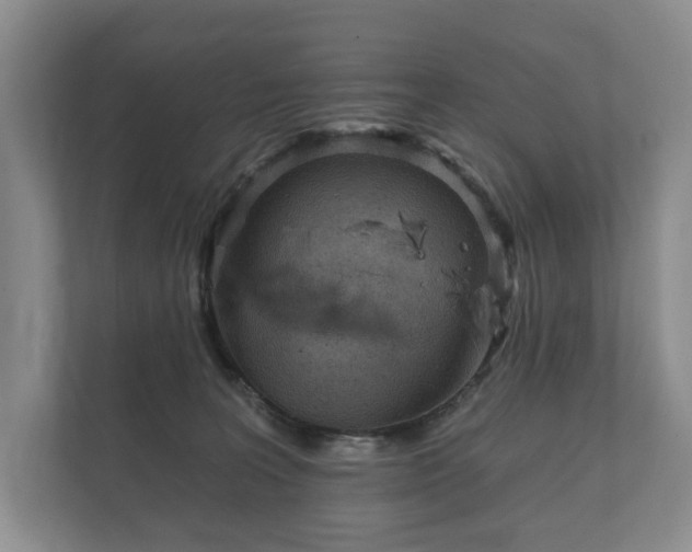 X0000112430227200908211207