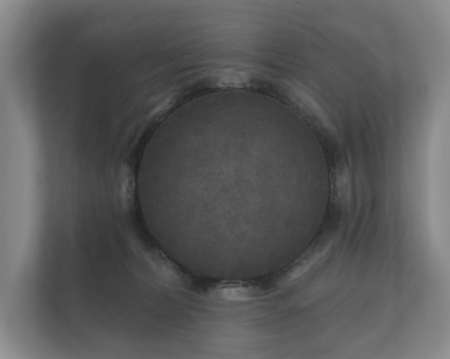 X0000112430228200908211207