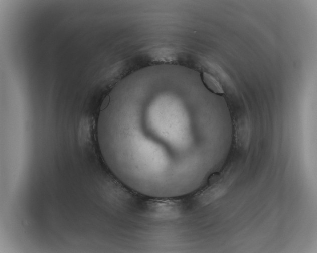 X0000112430229200908211207
