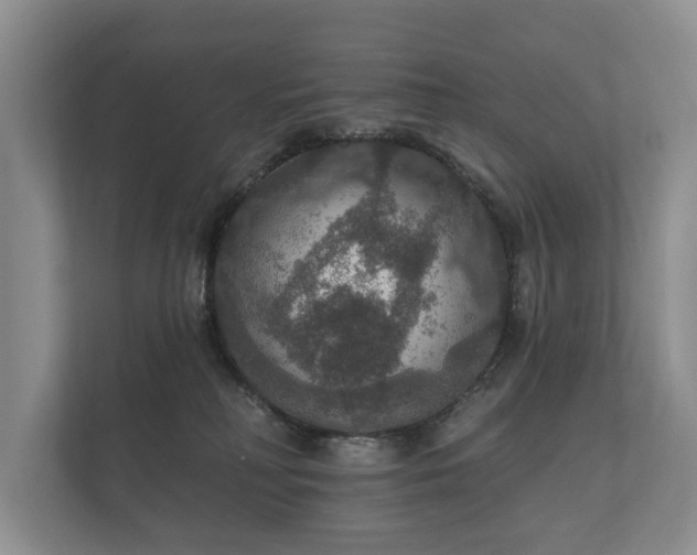 X0000112430230200908211207