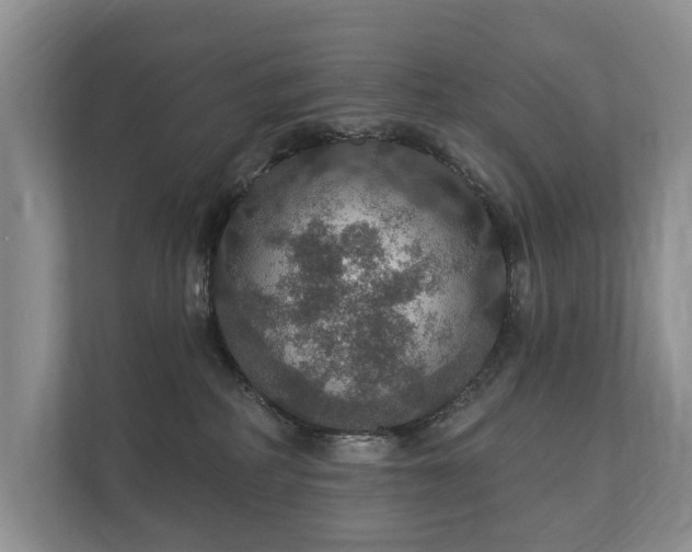 X0000112430234200908211207