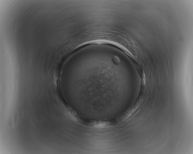 X0000112430235200908211207