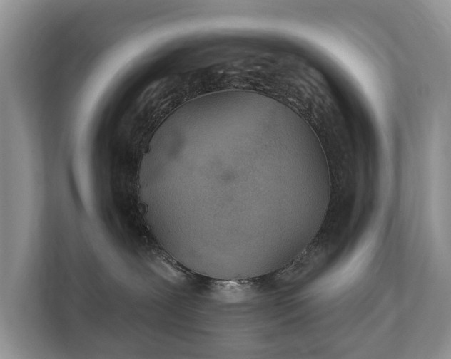 X0000112430239200908211207