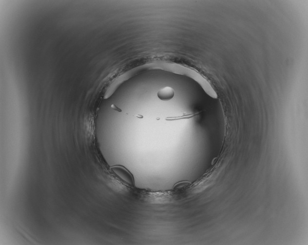 X0000112430240200908211207