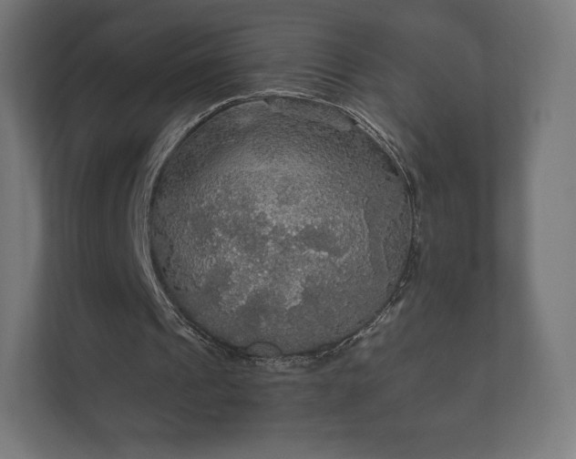 X0000112430241200908211206