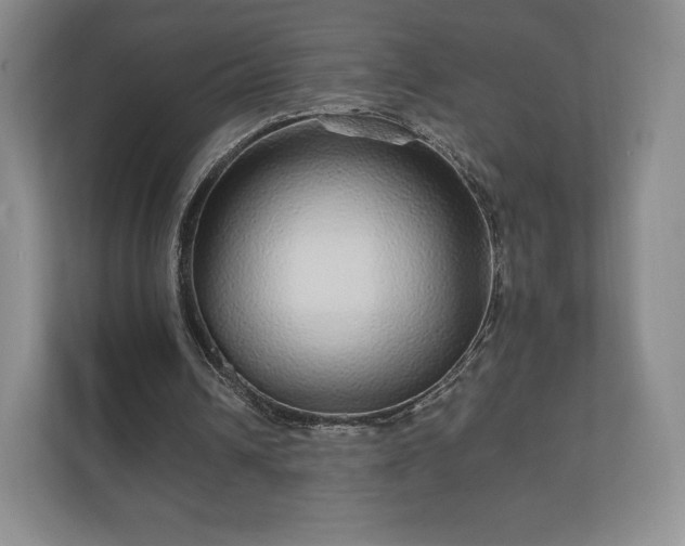 X0000112430242200908211206