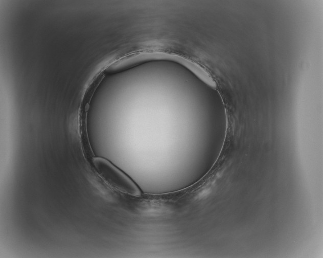 X0000112430244200908211206