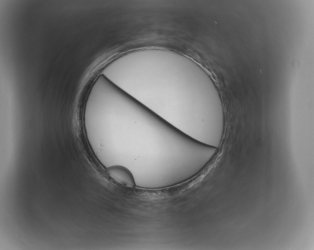 X0000112430245200908211206