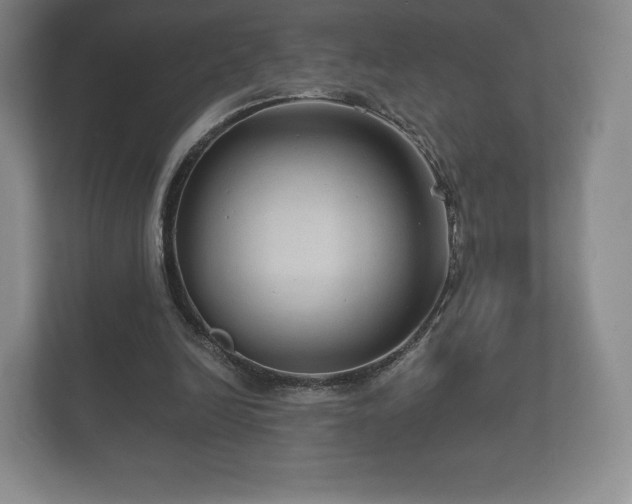 X0000112430246200908211206