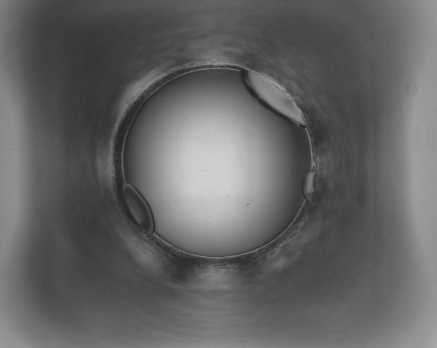 X0000112430248200908211206