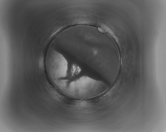X0000112430249200908211206