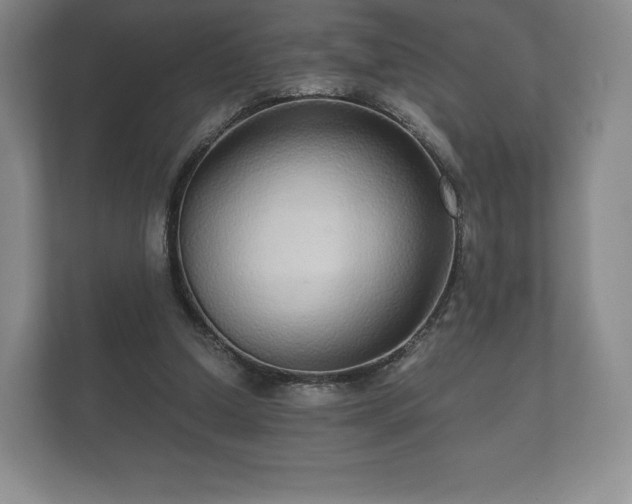 X0000112430250200908211206