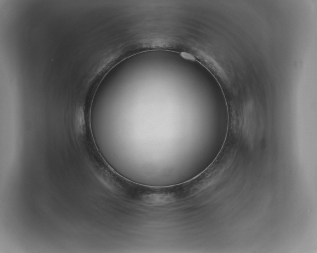 X0000112430251200908211206
