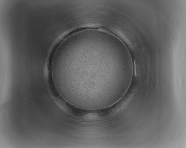X0000112430252200908211206