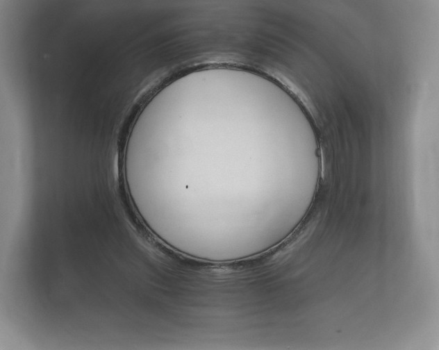 X0000112430253200908211206