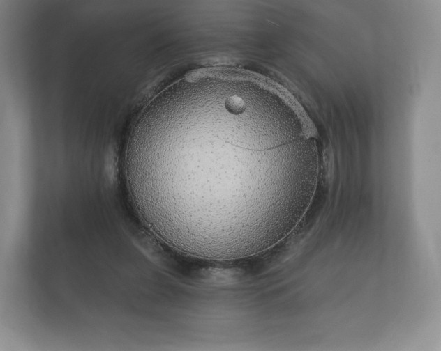X0000112430255200908211206