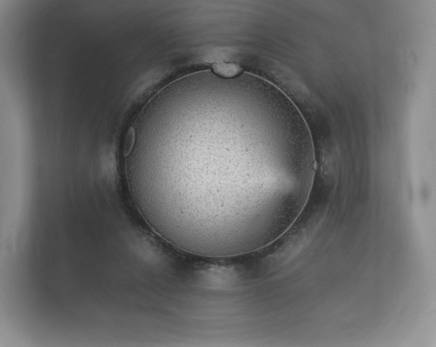 X0000112430256200908211206
