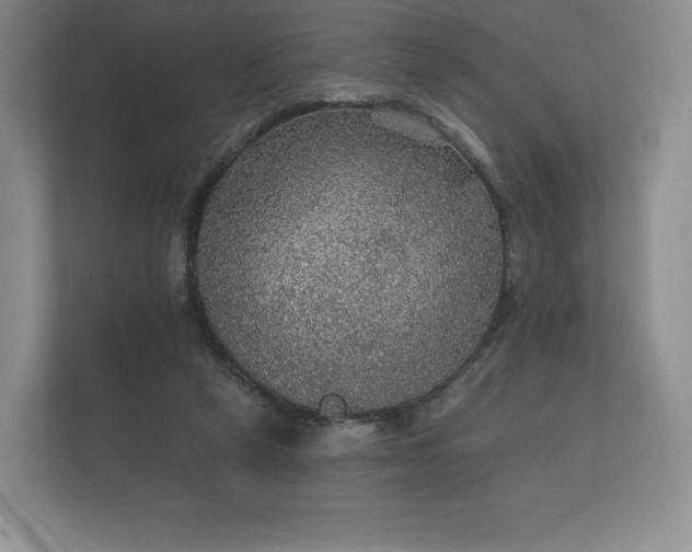X0000112430257200908211206