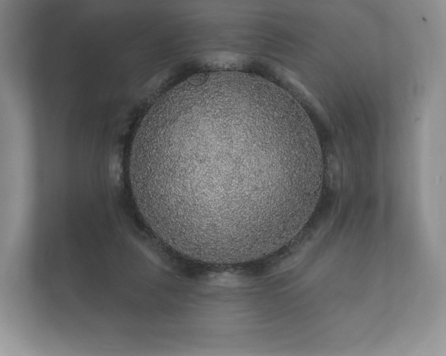 X0000112430259200908211206