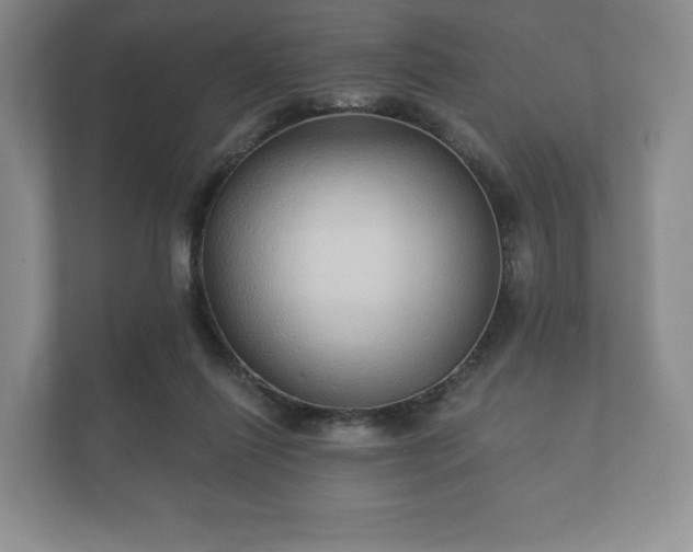 X0000112430262200908211206