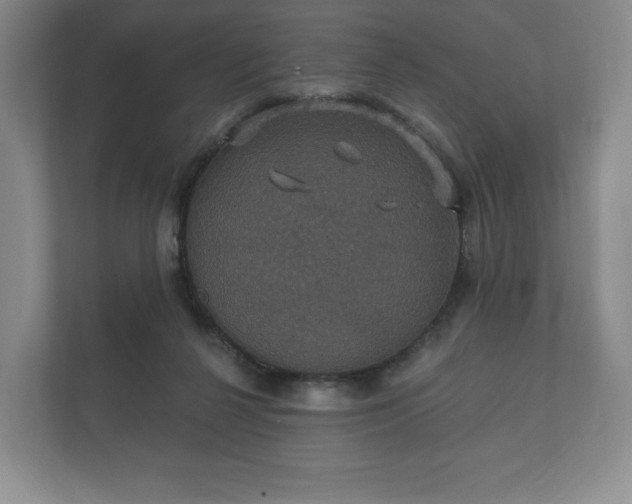 X0000112430264200908211206