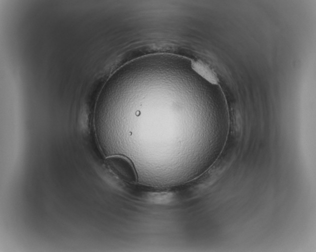 X0000112430266200908211207
