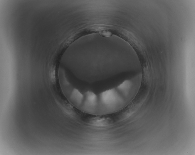 X0000112430267200908211207