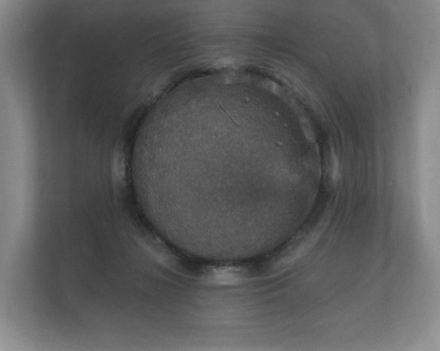 X0000112430268200908211207
