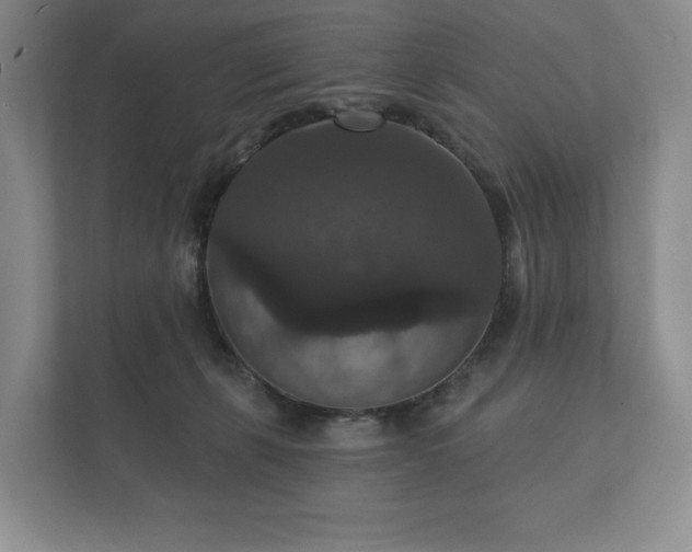 X0000112430271200908211207