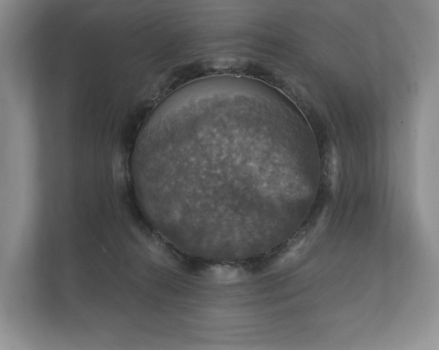 X0000112430272200908211207