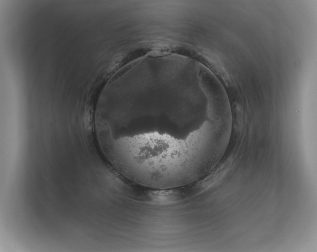 X0000112430273200908211207