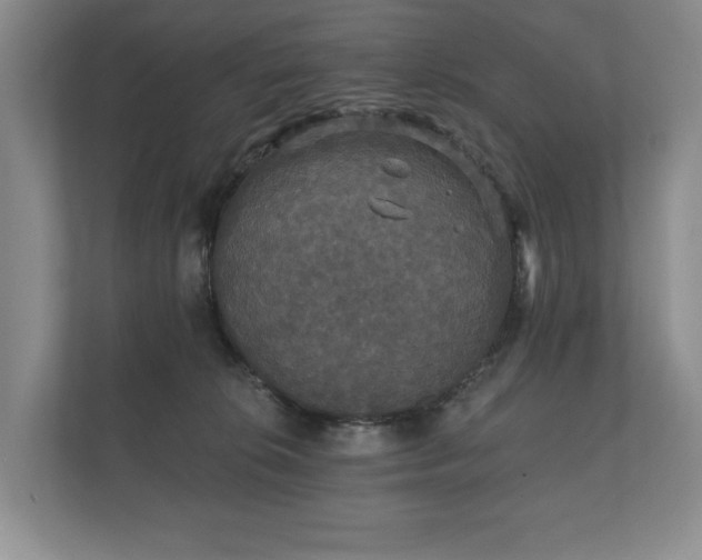 X0000112430276200908211207