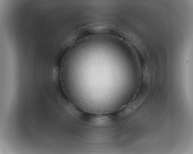 X0000112430278200908211207