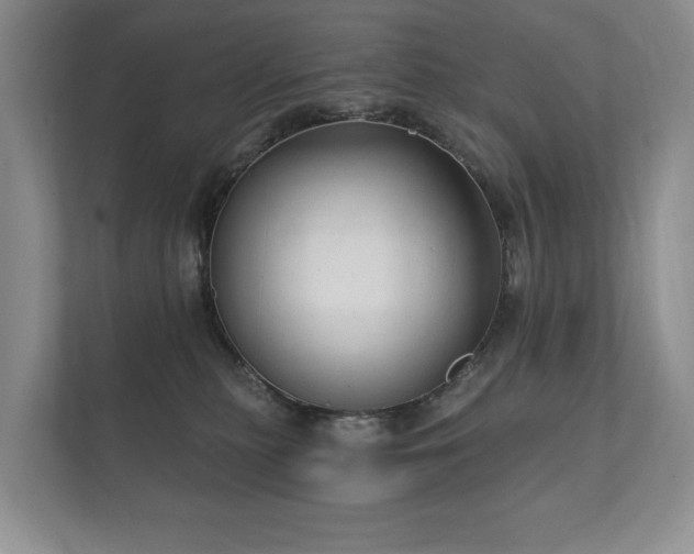 X0000112430279200908211207