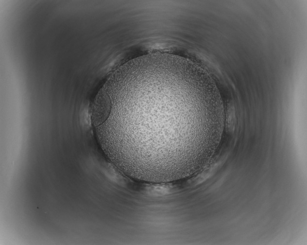 X0000112430282200908211207