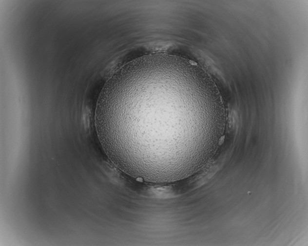 X0000112430283200908211207