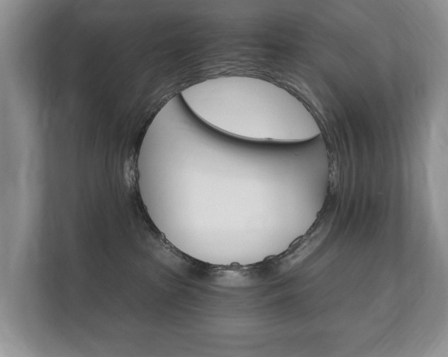 X0000112430285200908211207