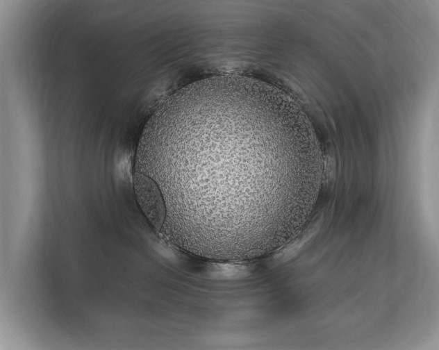 X0000112430286200908211207